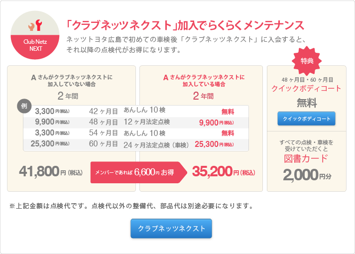 Netz SMILE HYBRID PROJECT