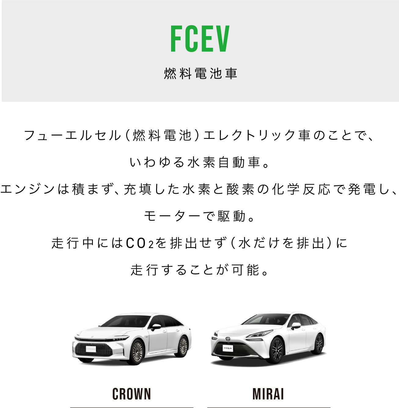 Action! | ネッツトヨタ広島